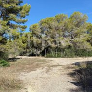Revente - Land -
Calvià - Sol de Mallorca