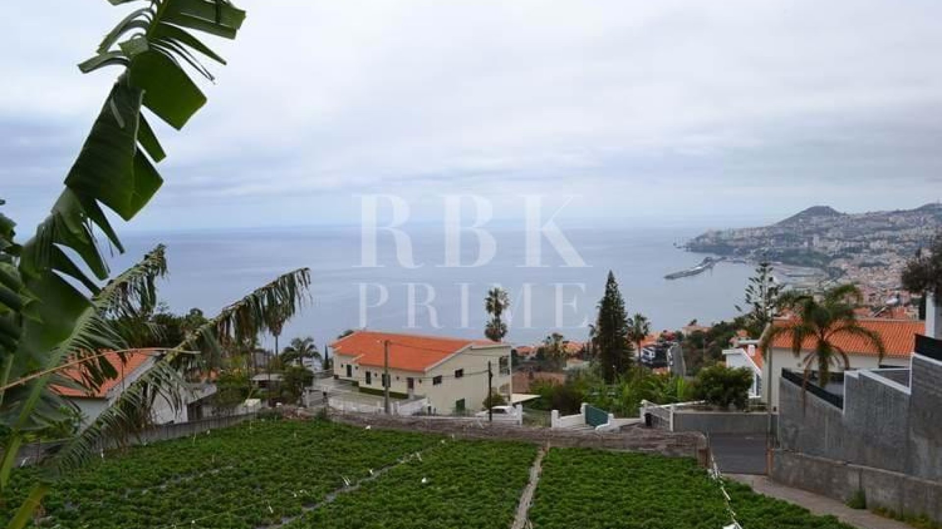 Revente - Land -
Madeira