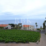 Revente - Land -
Madeira