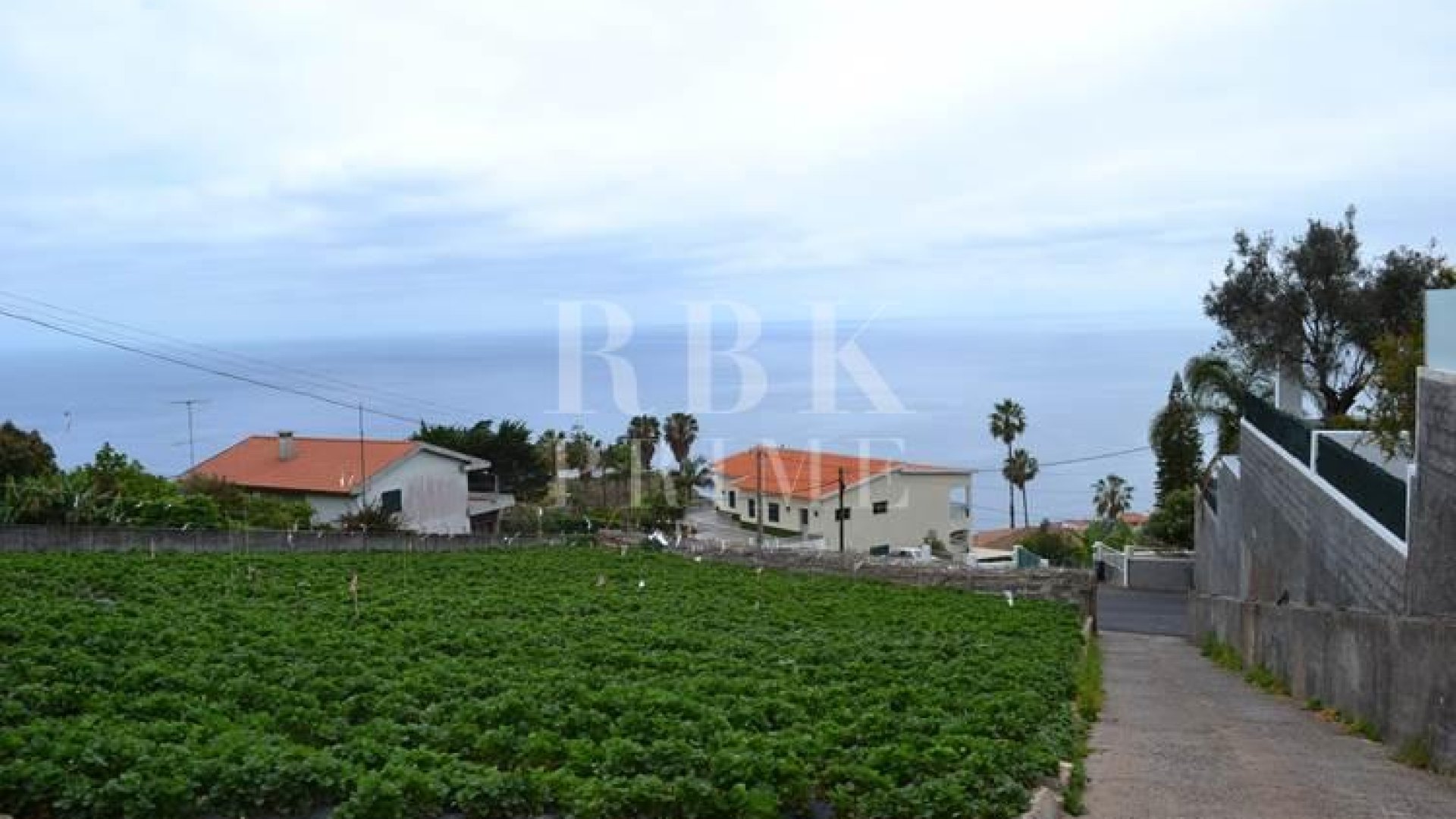 Revente - Land -
Madeira