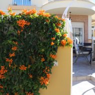 Revente - Maison de ville -
Villamartín - PAU 8