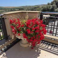 Revente - Villa -
Algorfa - La finca Golf