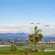Revente - Villa -
Algorfa - Lomas de La Juliana