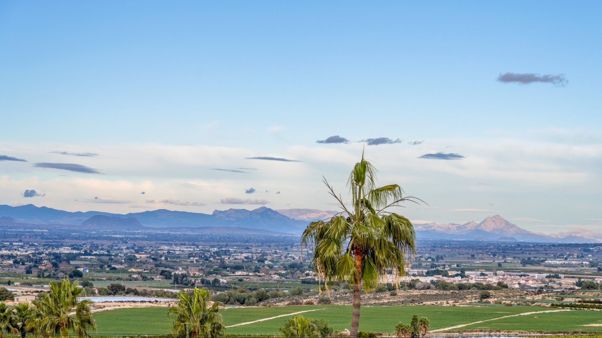 Revente - Villa -
Algorfa - Lomas de La Juliana