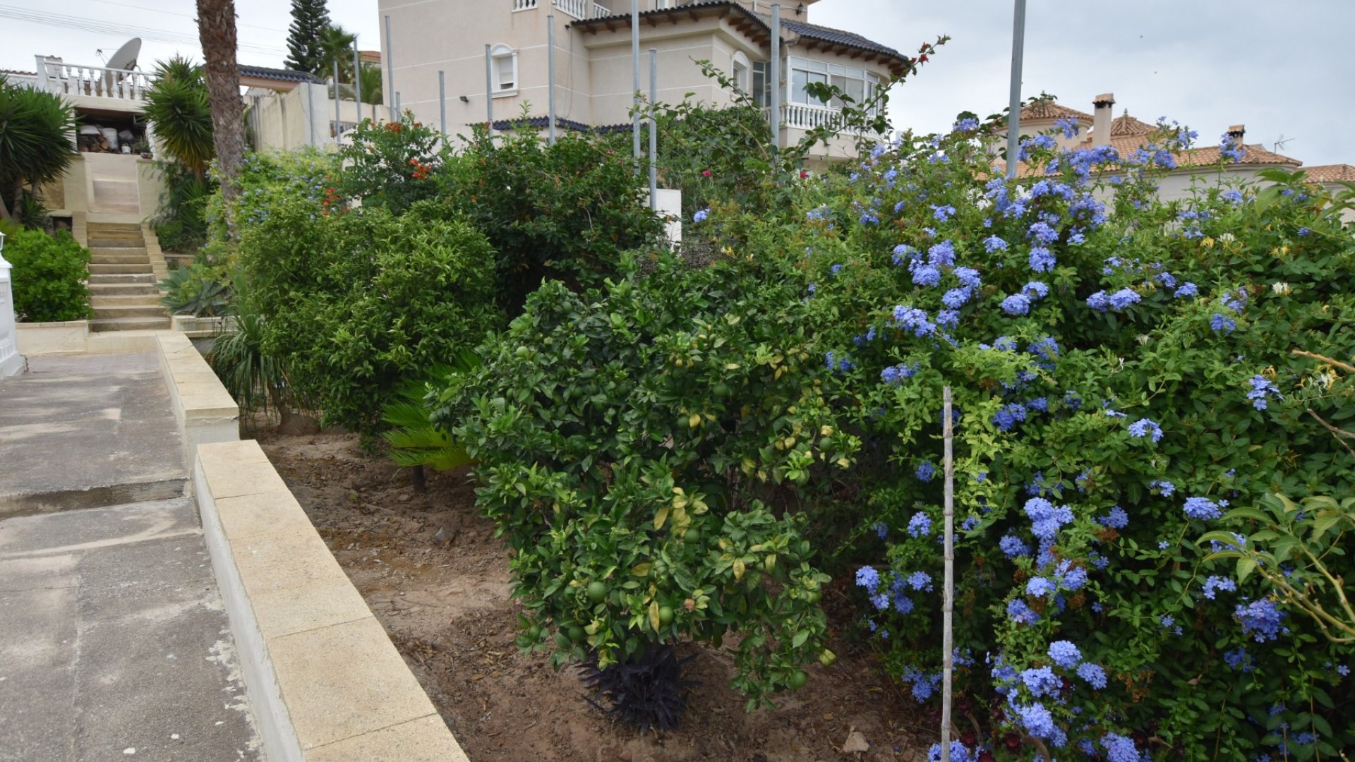 Revente - Villa -
Algorfa - Montemar