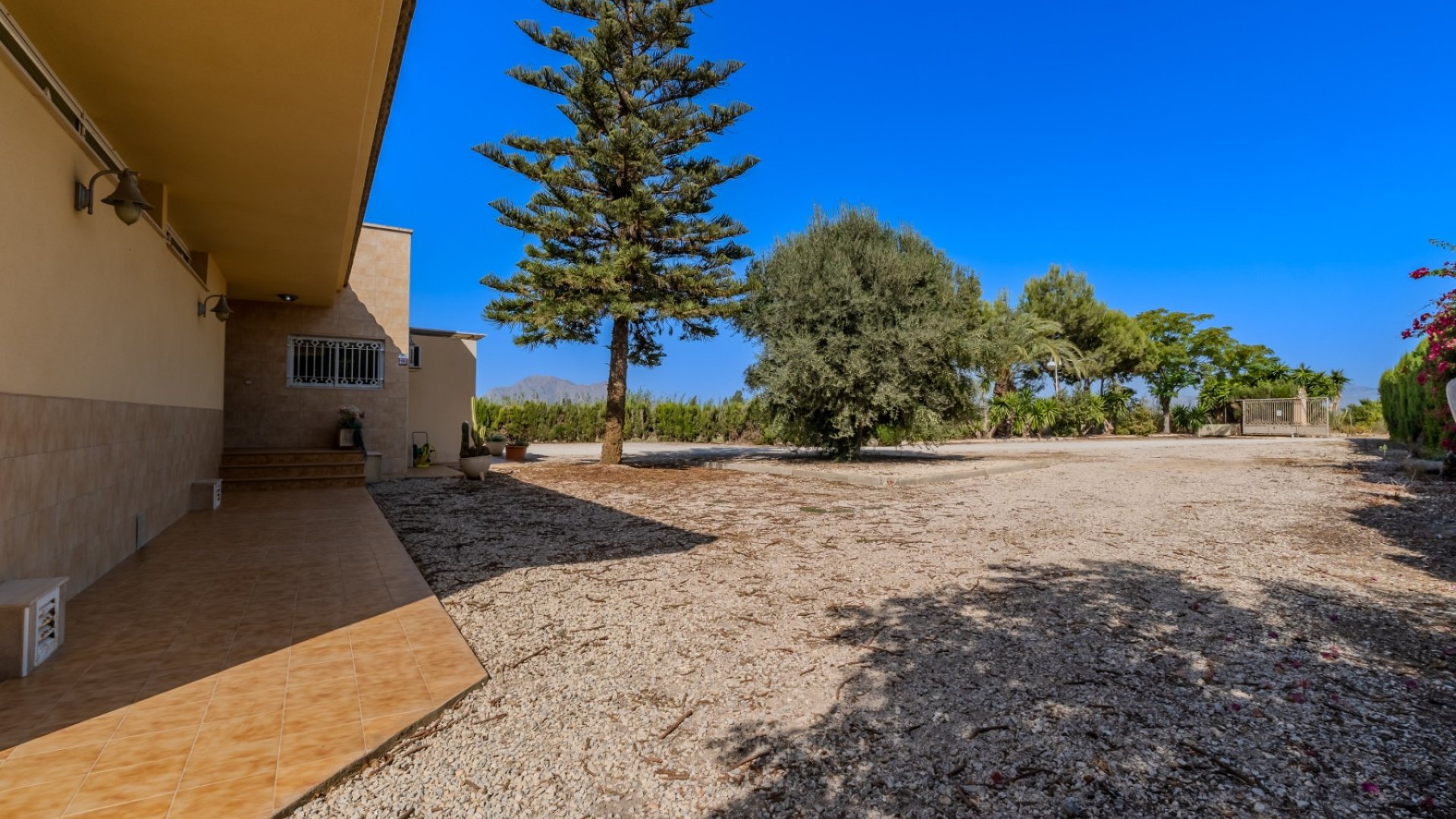 Revente - Villa -
Almoradí