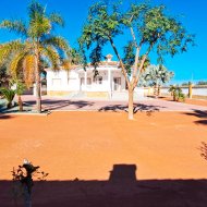 Revente - Villa -
Catral