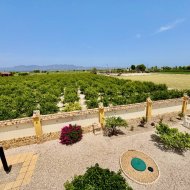 Revente - Villa -
Catral