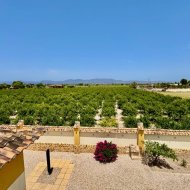 Revente - Villa -
Catral