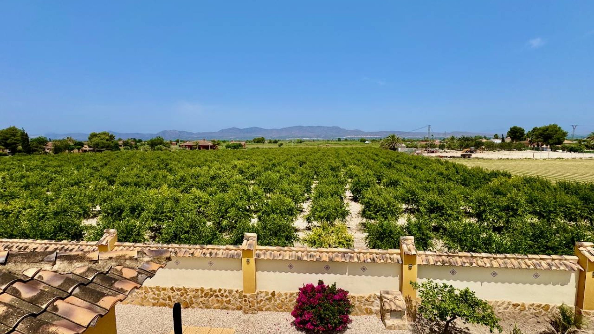 Revente - Villa -
Catral