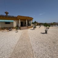 Revente - Villa -
Catral
