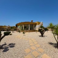 Revente - Villa -
Catral