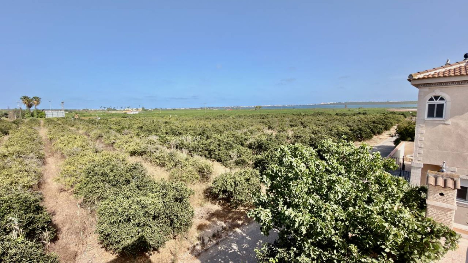 Revente - Villa -
Ciudad Quesada - Doña Pepa