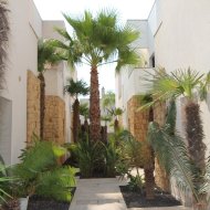 Revente - Villa -
Ciudad Quesada - Doña Pepa