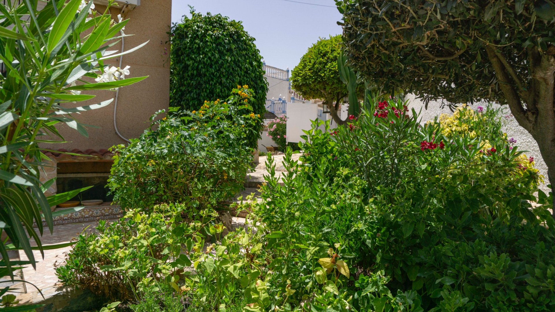 Revente - Villa -
Ciudad Quesada - town