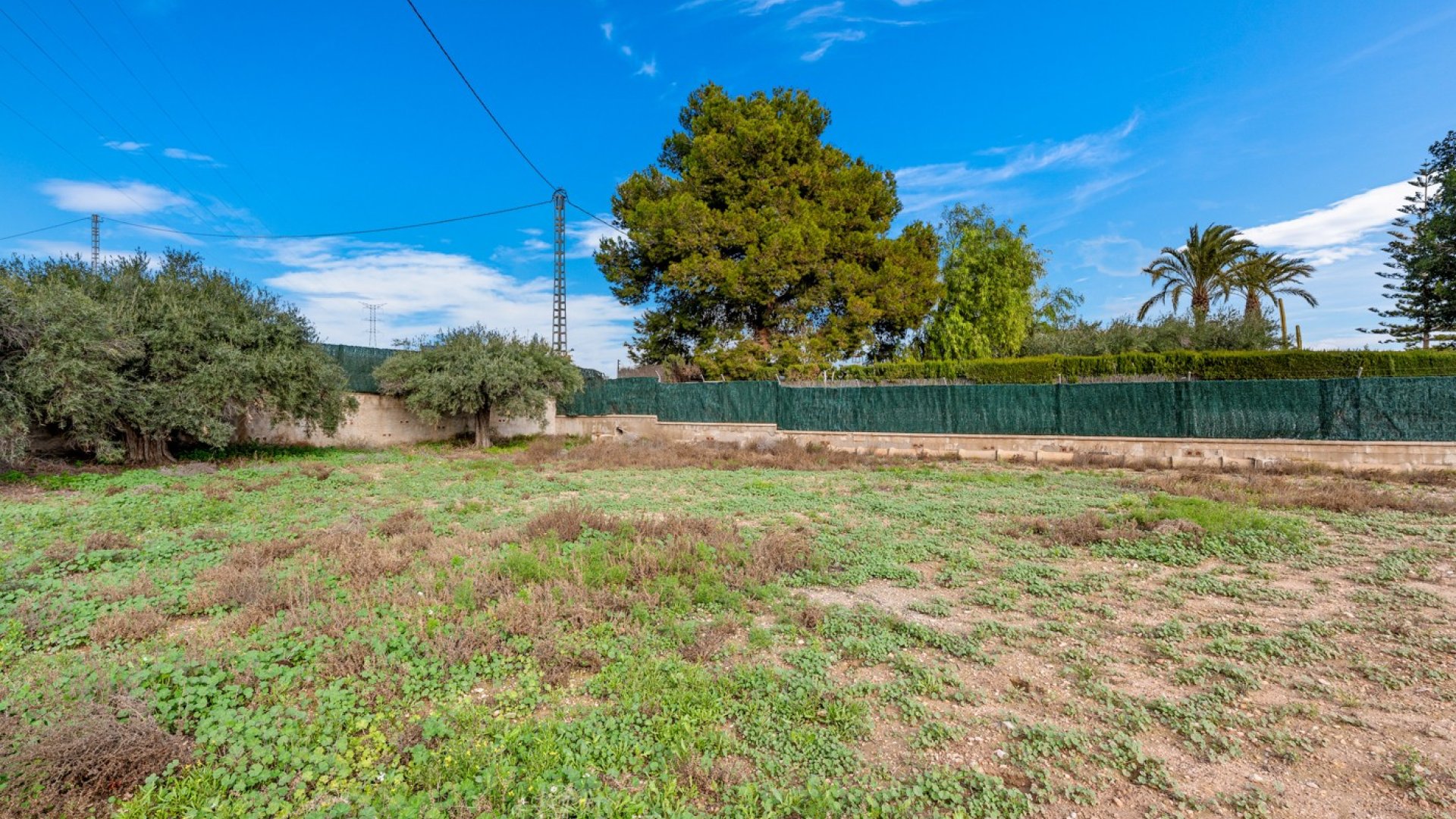 Revente - Villa -
Elche