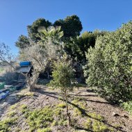 Revente - Villa -
Guardamar del Segura