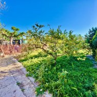 Revente - Villa -
Guardamar del Segura
