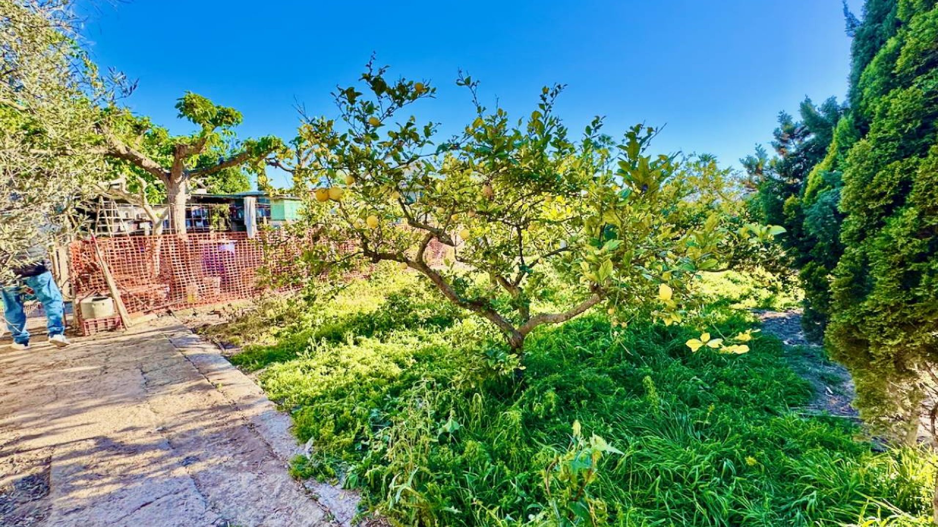 Revente - Villa -
Guardamar del Segura