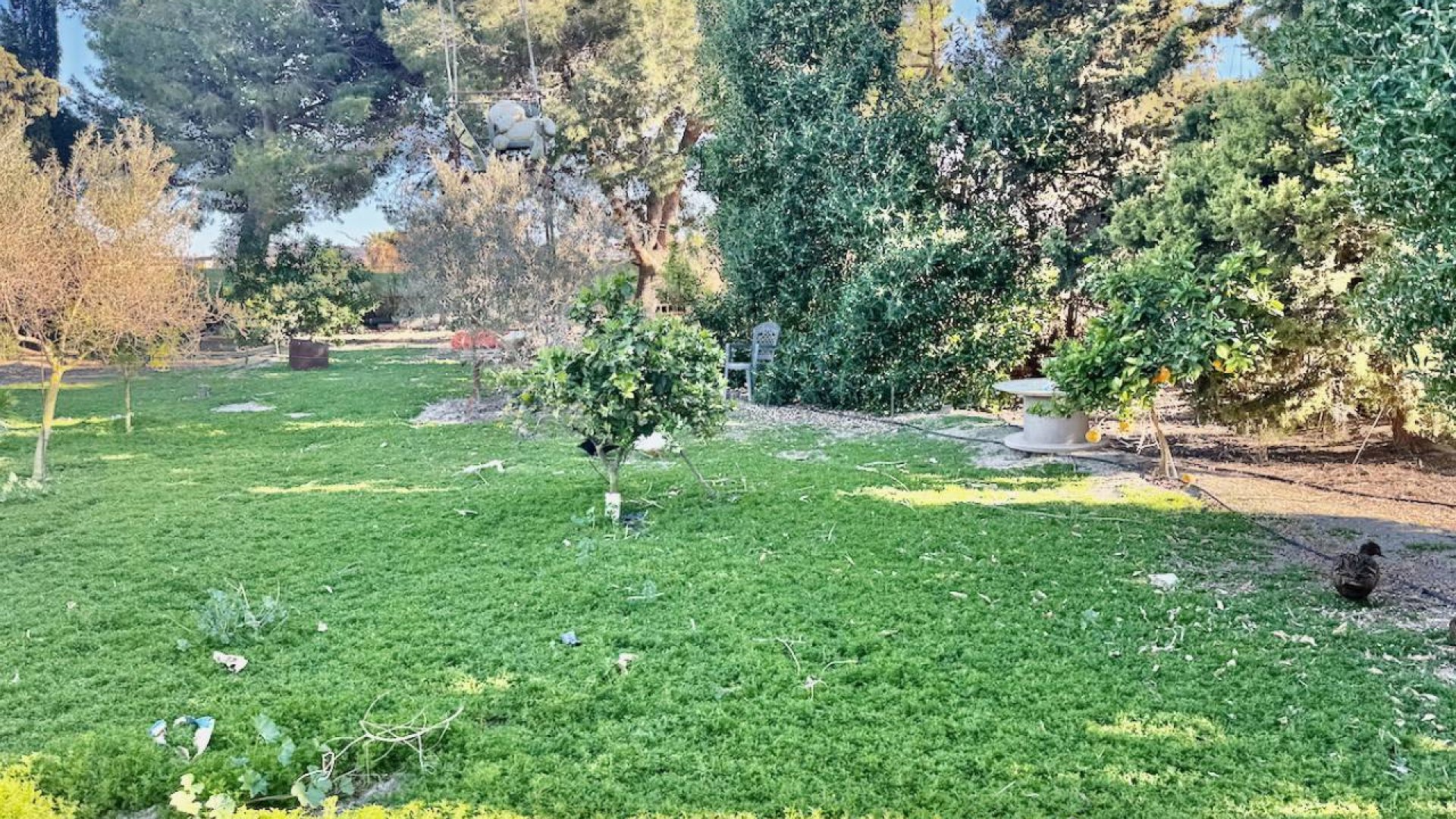 Revente - Villa -
Guardamar del Segura