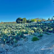 Revente - Villa -
Guardamar del Segura