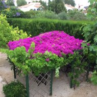 Revente - Villa -
Jávea - Cansalades