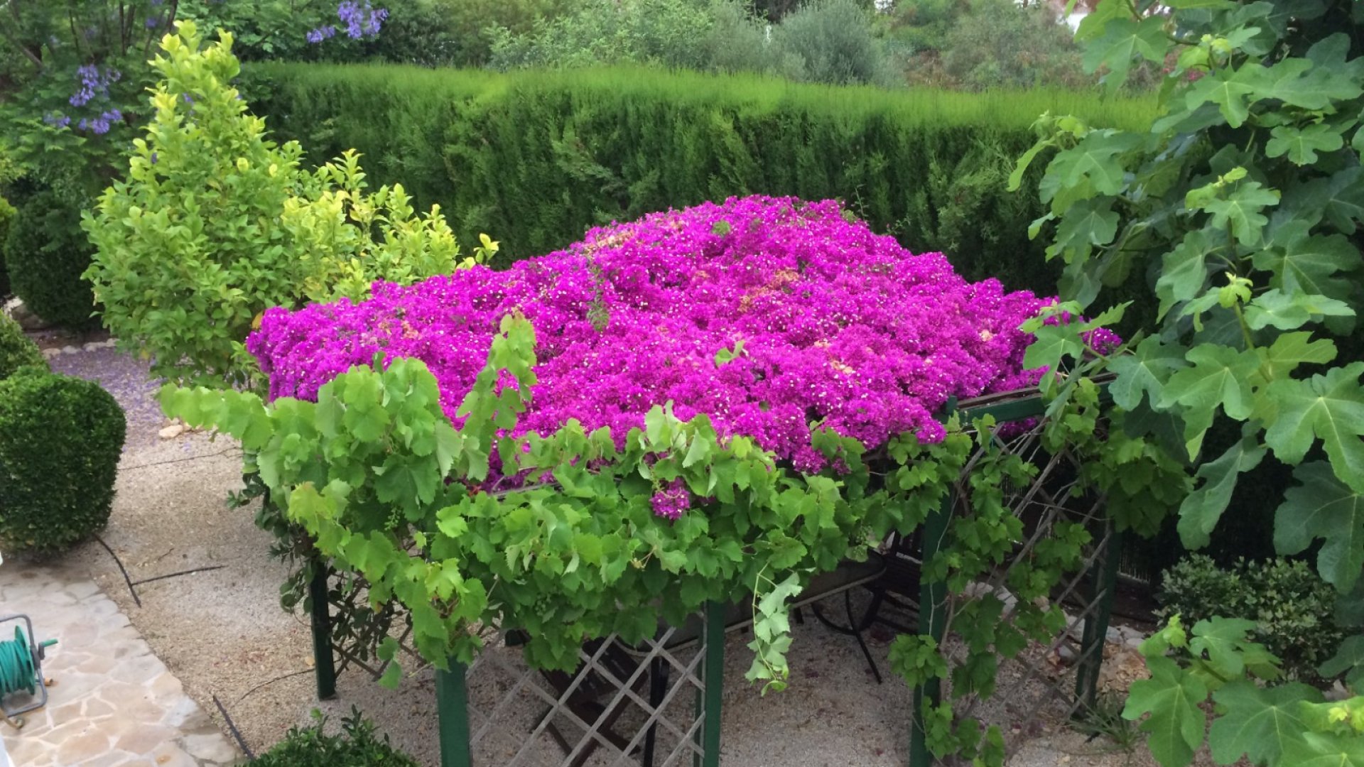 Revente - Villa -
Jávea - Cansalades