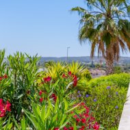 Revente - Villa -
La Marina