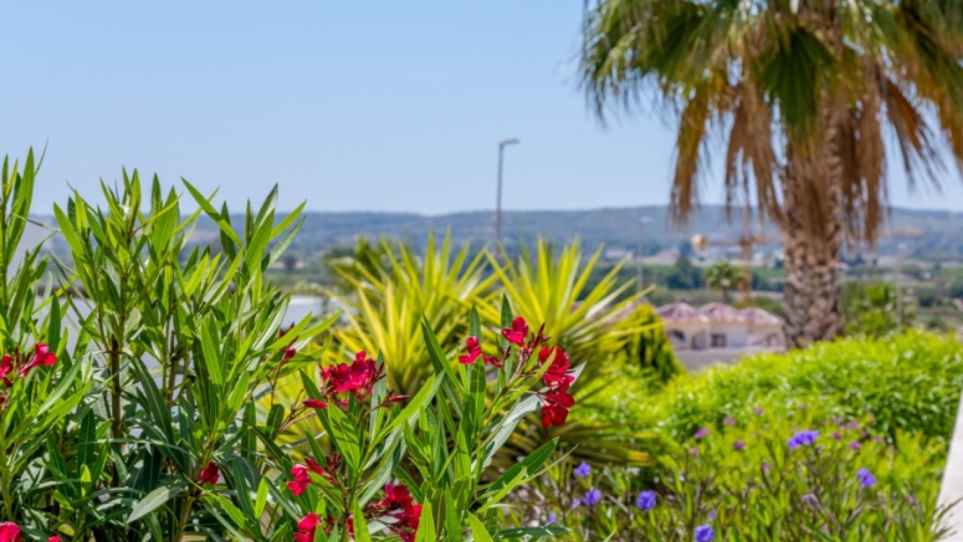 Revente - Villa -
La Marina