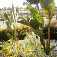 Revente - Villa -
Los Alcazares - La Serena