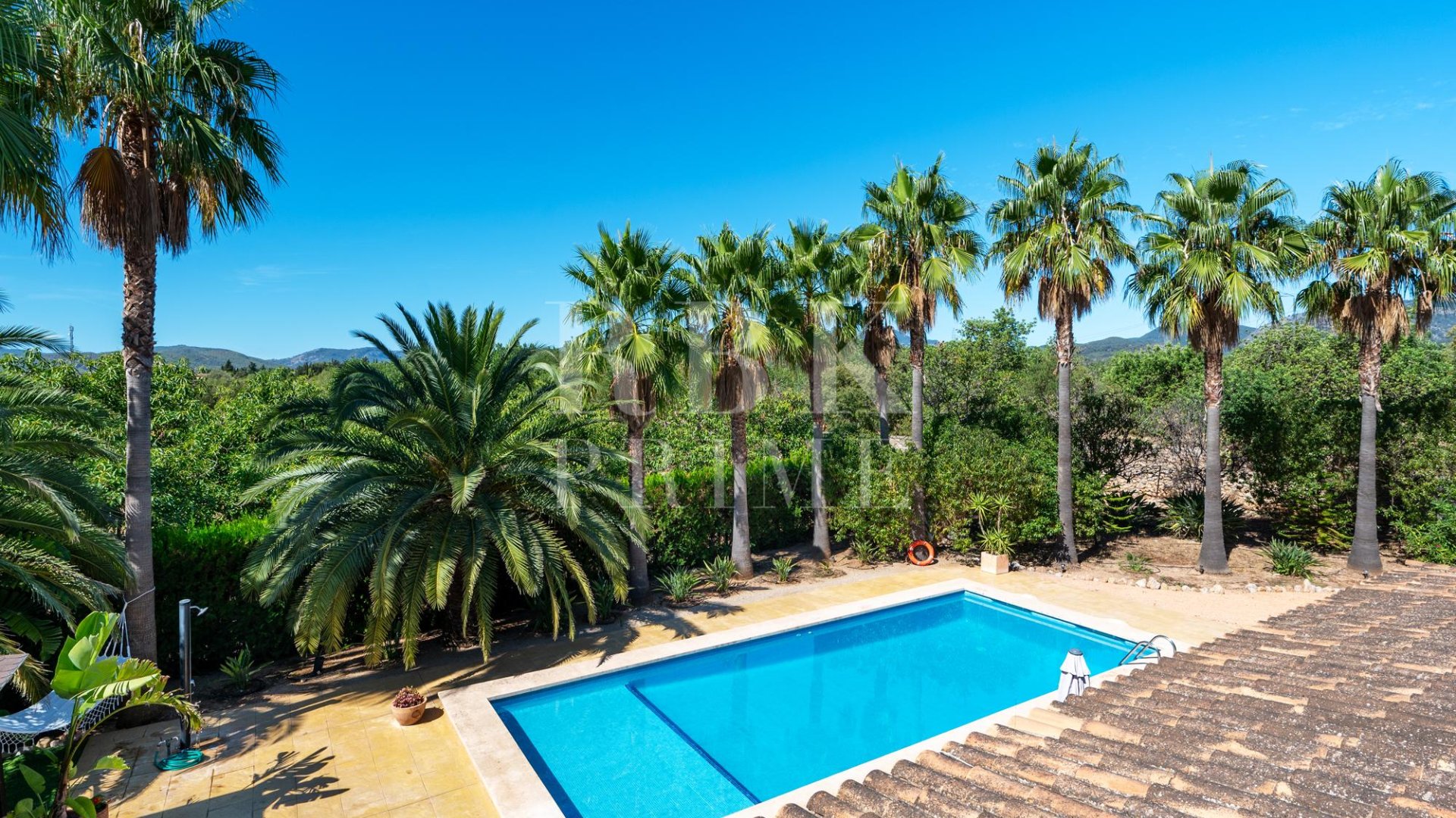 Revente - Villa -
Palma - Palma rural