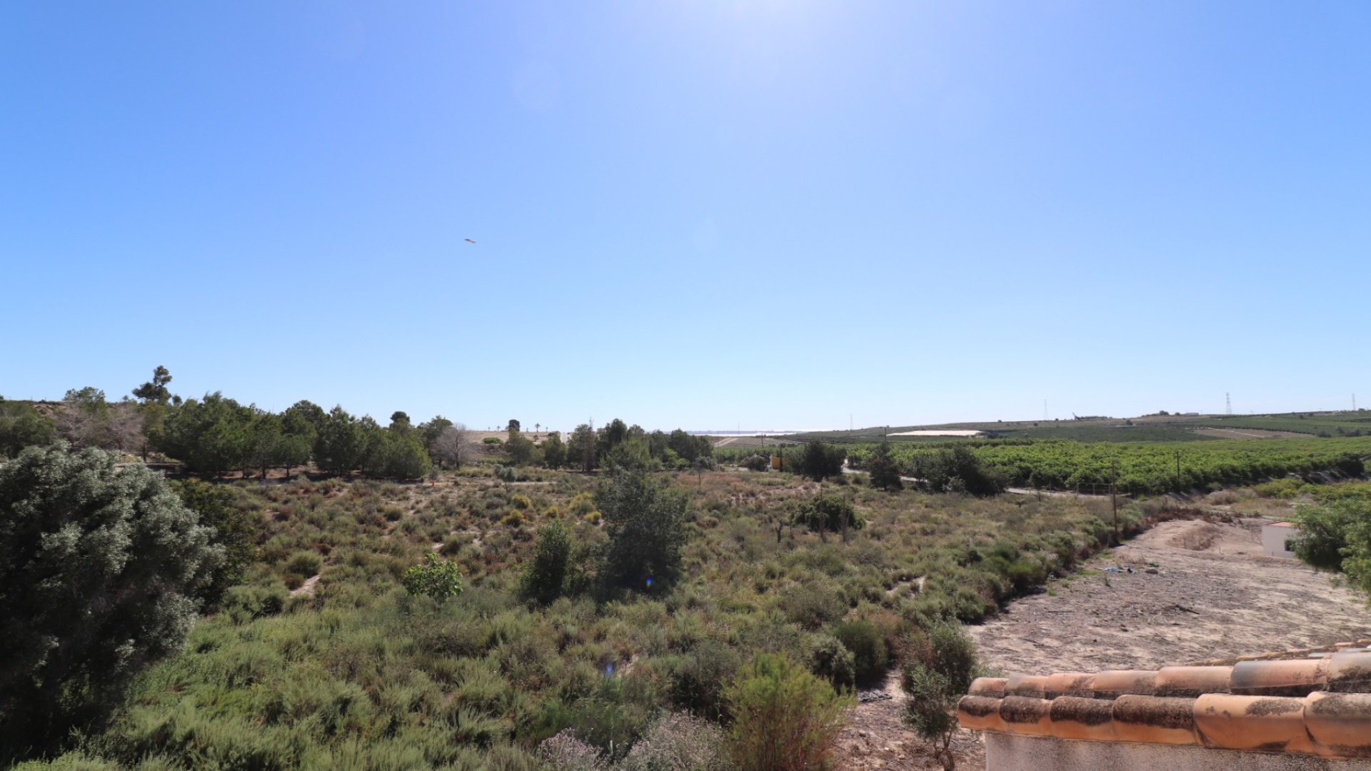Revente - Villa -
San Miguel de Salinas - Lake View Mansions