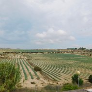 Revente - Villa -
San Miguel de Salinas - San Miguel Salinas