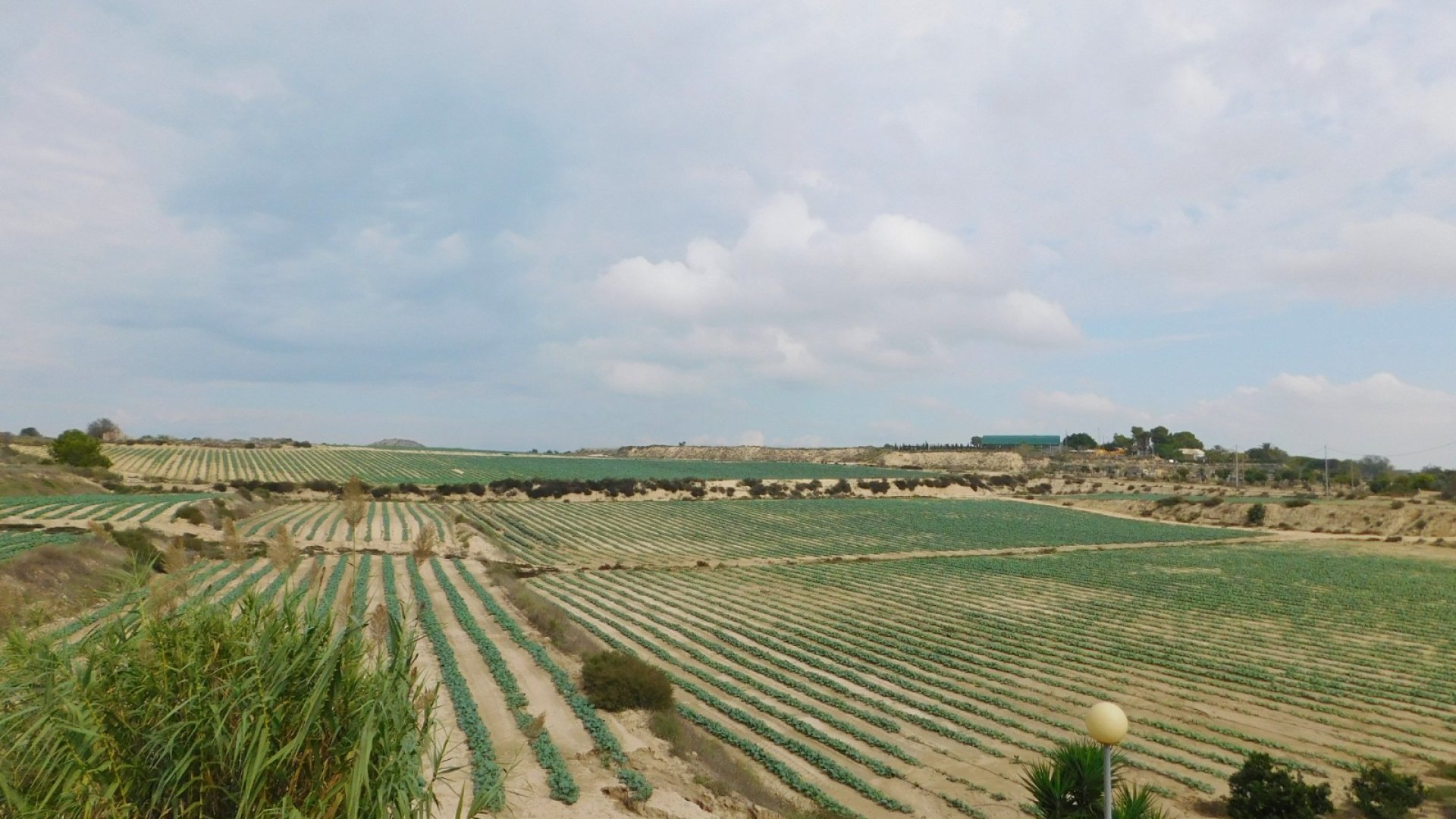 Revente - Villa -
San Miguel de Salinas - San Miguel Salinas