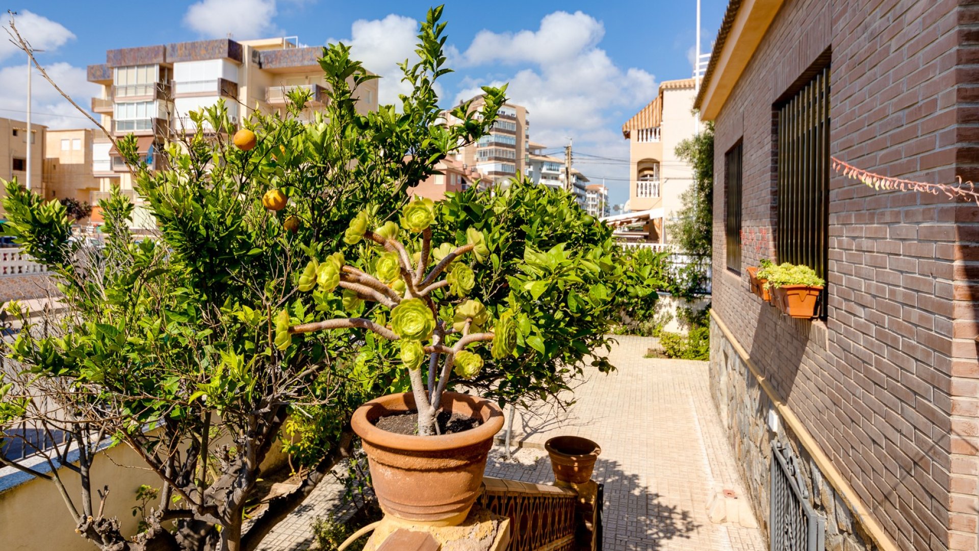 Revente - Villa -
Torrevieja - La Mata