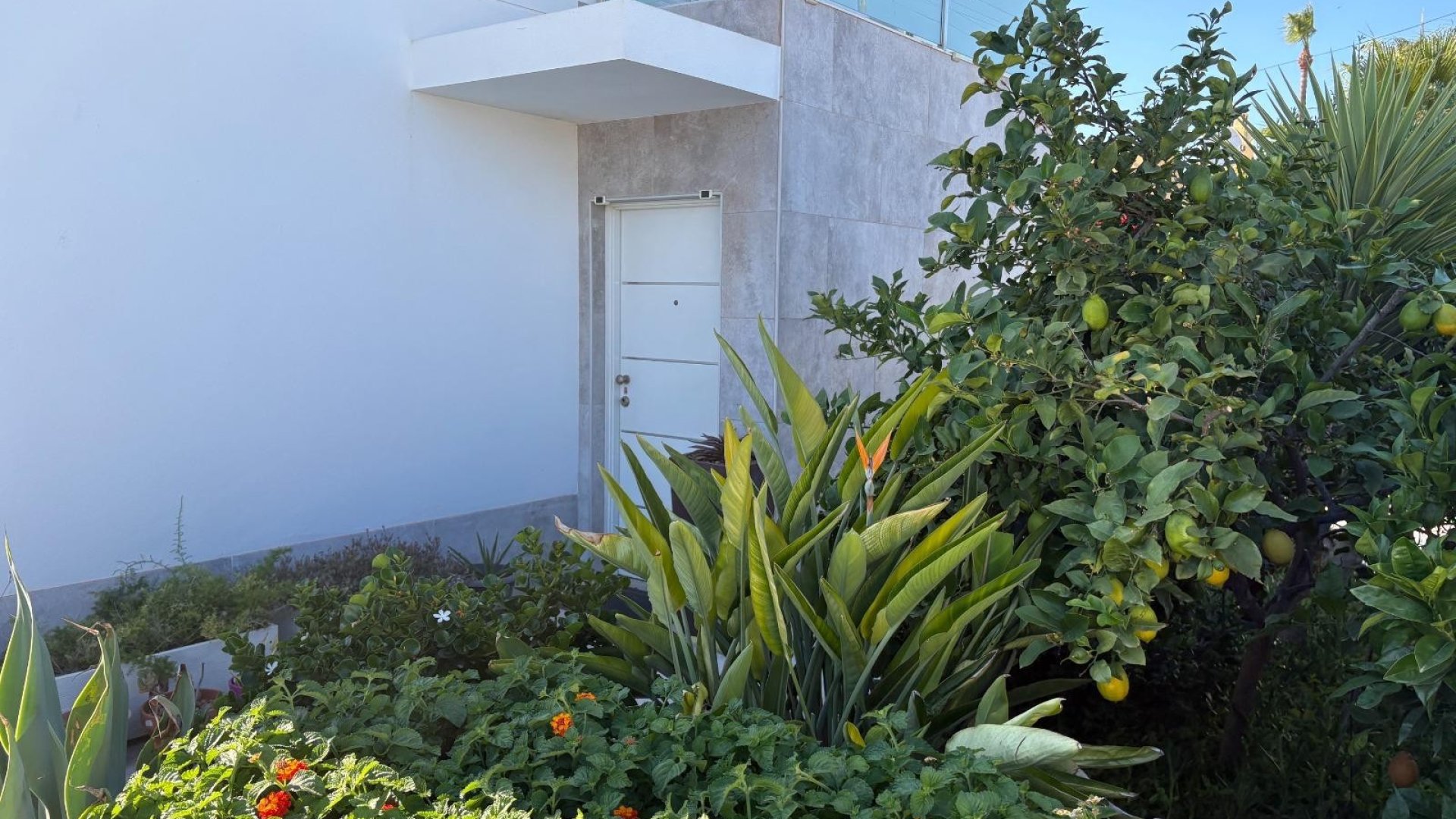 Revente - Villa -
Torrevieja - La Siesta