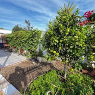 Revente - Villa -
Torrevieja - Punta Prima