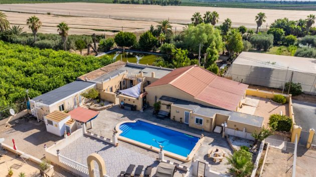 Villa - Revente - Los Montesinos -
                Los Montesinos