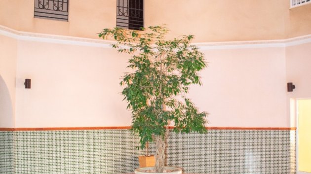 Resale - Apartments -
Torrevieja - Playa Los Locos