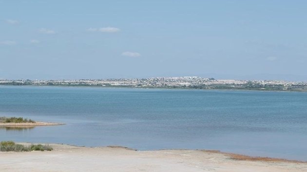 Reventa - Apartamentos -
La Mata - La Mata - Town