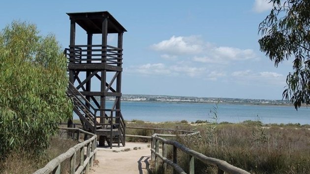 Resale - Apartments -
Torrevieja - La Mata