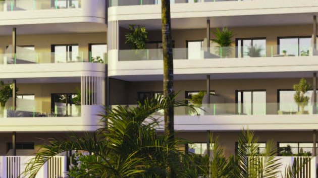 Nouvelle construction - Appartements -
Torrevieja