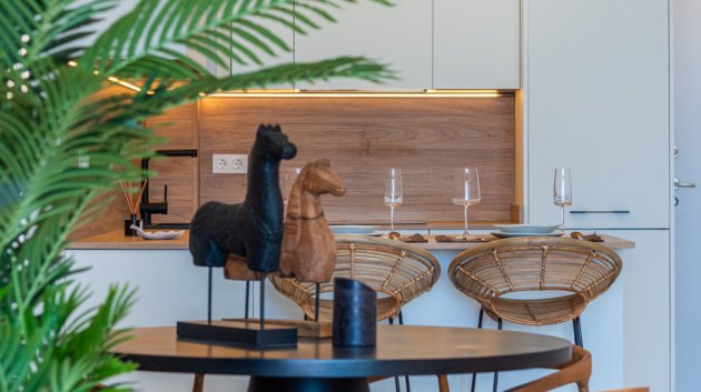 New Build - Penthouse -
Benijofar