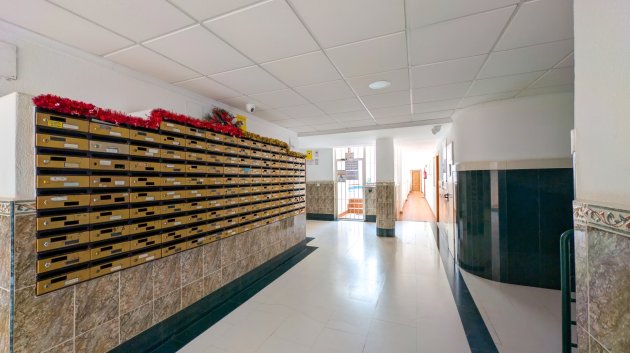 Reventa - Apartamentos -
Torrevieja