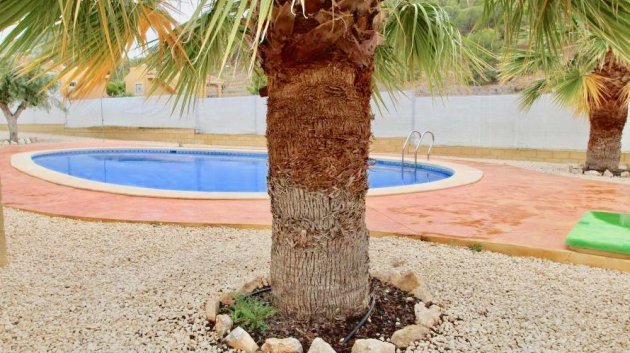 New Build - Villa -
La Romana