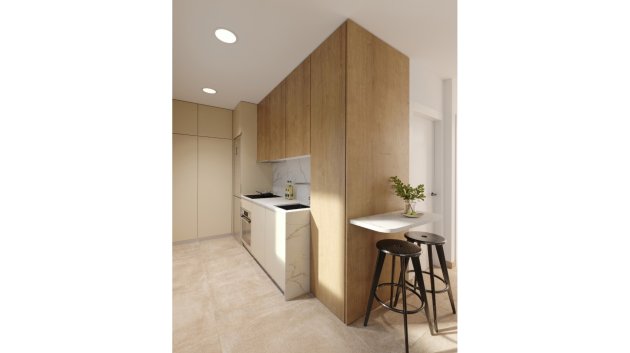 Nouvelle construction - Appartements -
Santa Rosalía