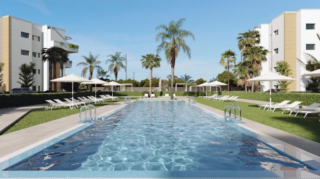 Nouvelle construction - Appartements -
Santa Rosalía