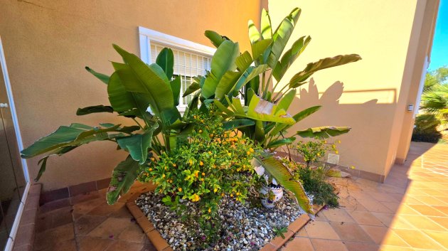 Revente - Villa -
Torrevieja - Cabo Cervera