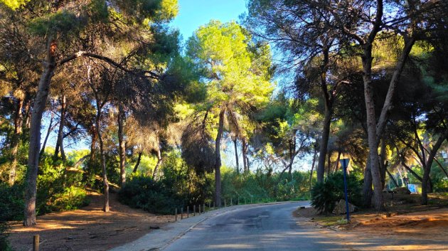 Revente - Villa -
Torrevieja - Cabo Cervera