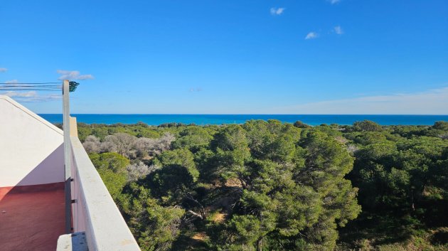 Resale - Apartments -
Guardamar del Segura